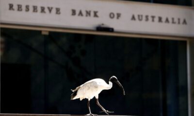 © Reuters. FILE PHOTO: An ibis bird perches next to the Reserve Bank of Australia headquarters in central Sydney, Australia February 6, 2018. REUTERS/Daniel Munoz/File Photo